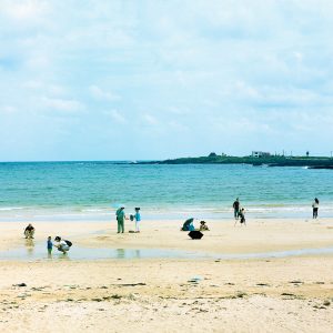 Udo, Corée du Sud, 2016